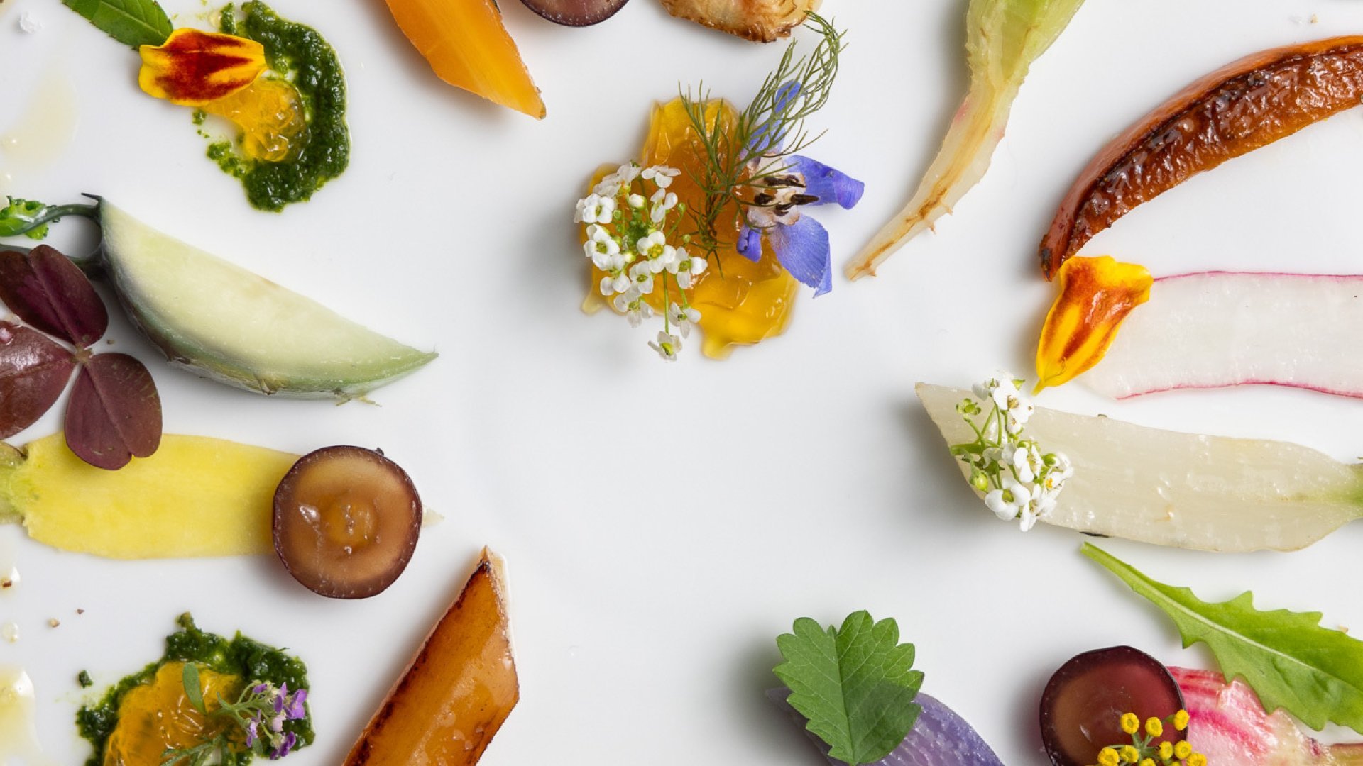 L'Observatoire du Gabriel_Palette de légumes2