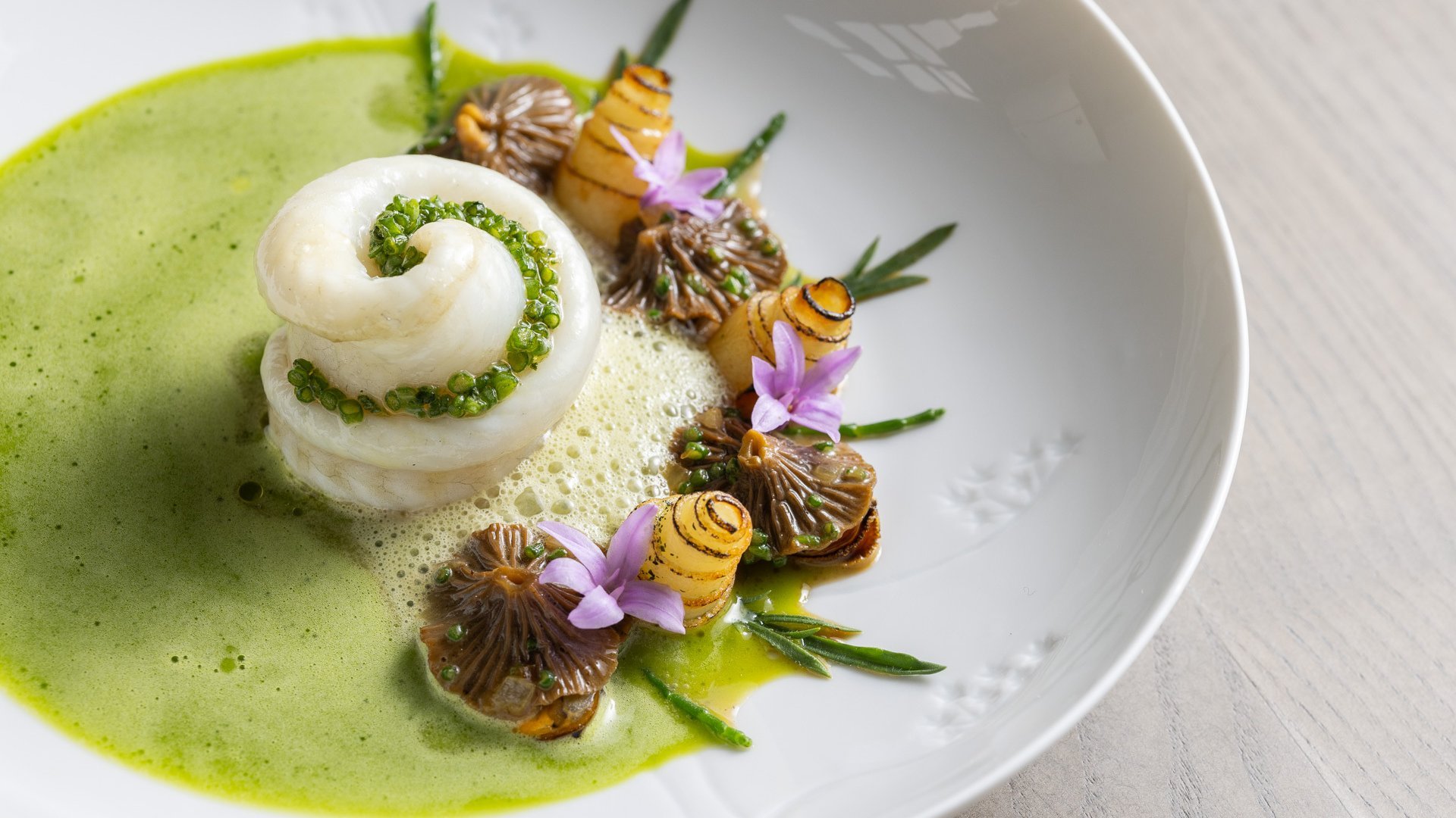 L'Observatoire du Gabriel_Sole